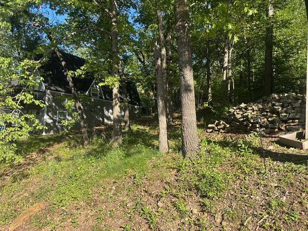 0.23 Acres of Residential Land for Sale in Lampe, Missouri