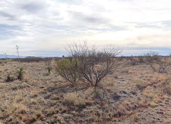 1 Acre of Residential Land for Sale in Arizona Sun Sites, Arizona