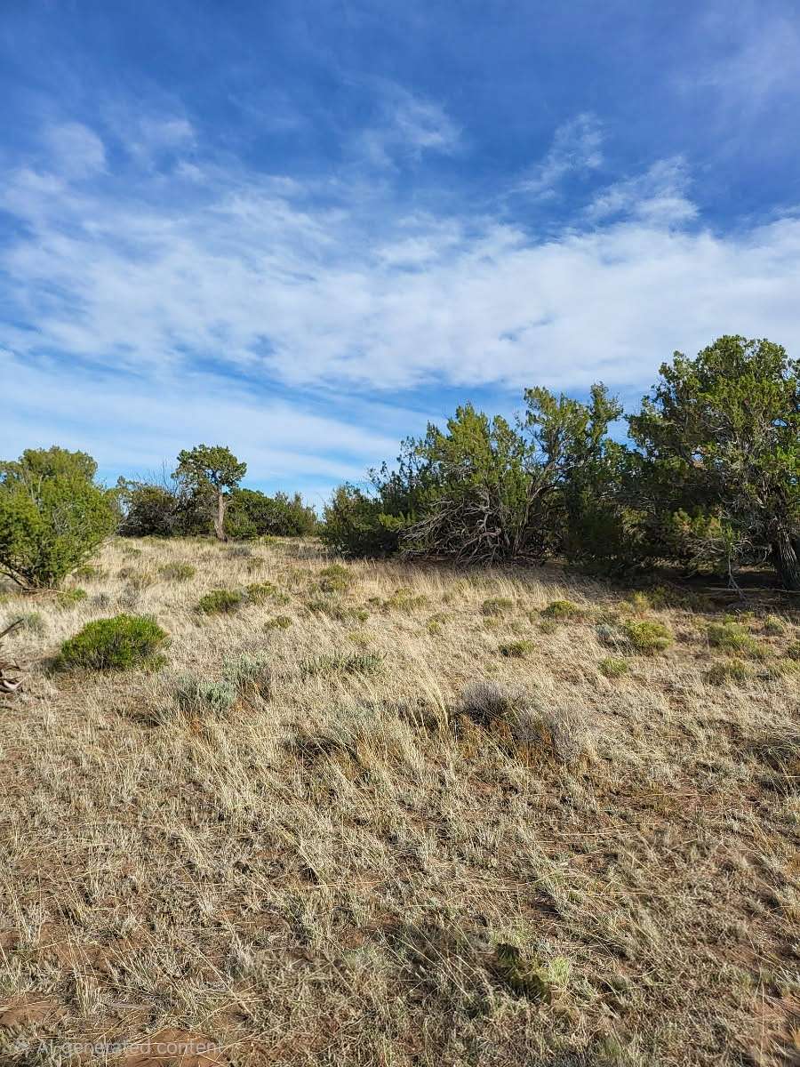10 Acres of Recreational & Residential Land for Sale in Chambers, Arizona