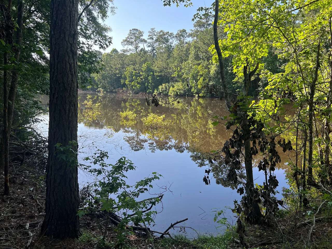 45 Acres of Recreational Land for Sale in Silsbee, Texas