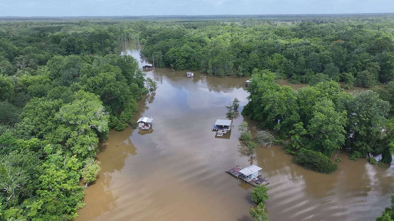 45 Acres of Recreational Land for Sale in Silsbee, Texas