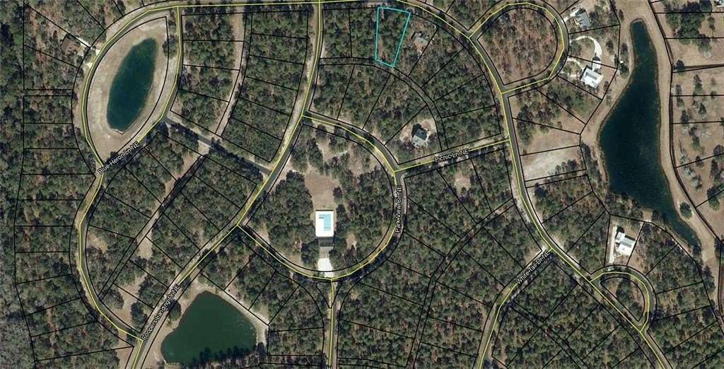 0.54 Acres of Residential Land for Sale in Shellman Bluff, Georgia