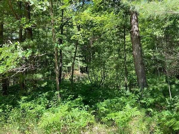 5.3 Acres of Recreational Land for Sale in Luther, Michigan