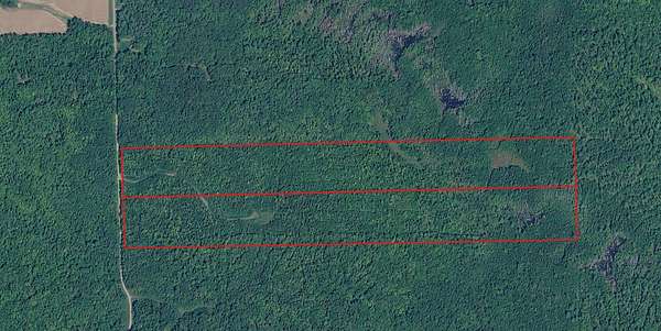 85 Acres of Recreational Land for Sale in Chapman, Maine
