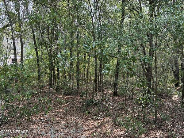 0.3 Acres of Land for Sale in Interlachen, Florida
