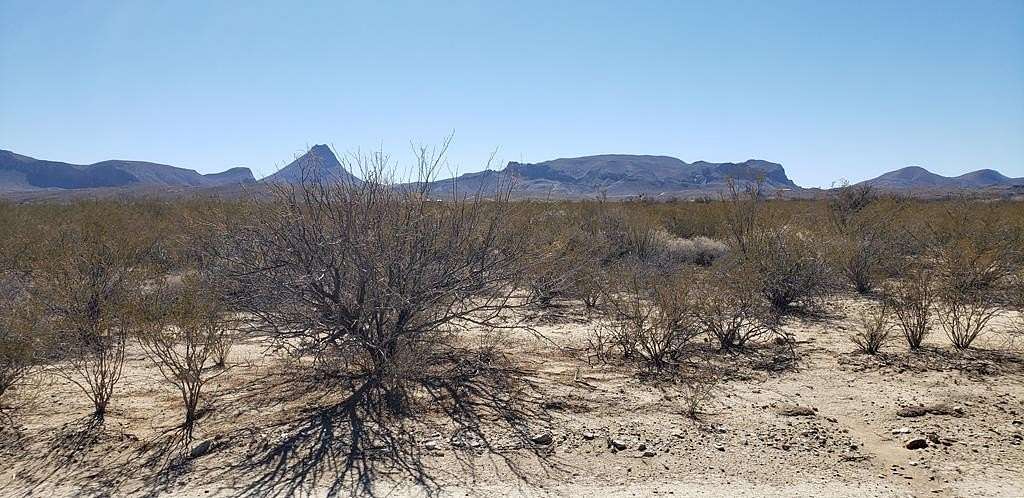 5 Acres of Land for Sale in Terlingua, Texas