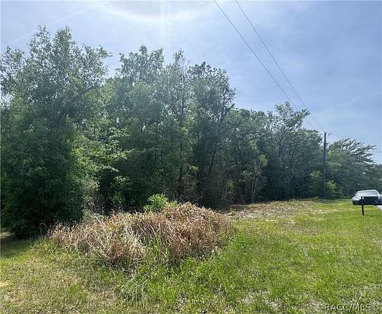 0.23 Acres of Residential Land for Sale in Dunnellon, Florida