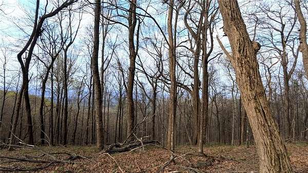 0.83 Acres of Residential Land for Sale in Big Canoe, Georgia