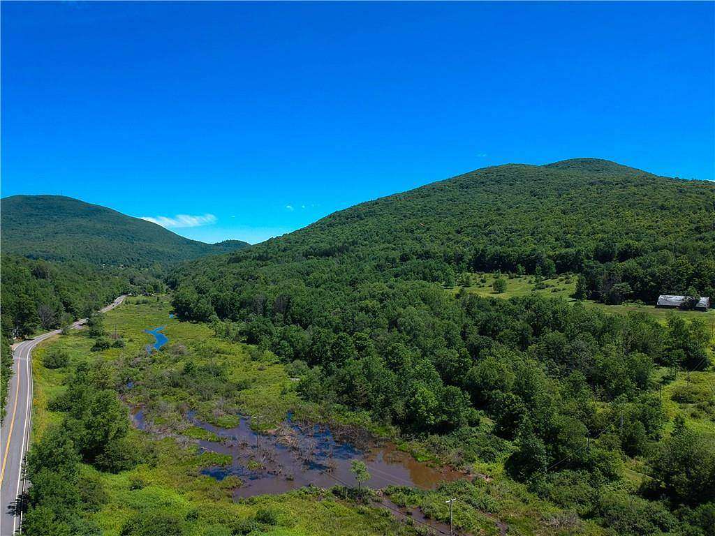 297 Acres of Recreational Land for Sale in Roxbury, New York