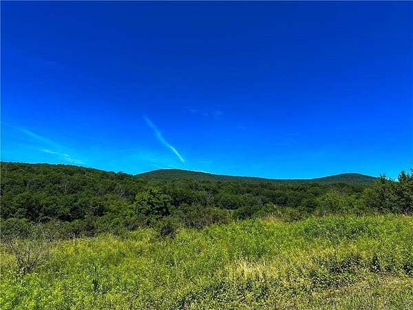 297 Acres of Recreational & Residential Land for Sale in Roxbury, New York