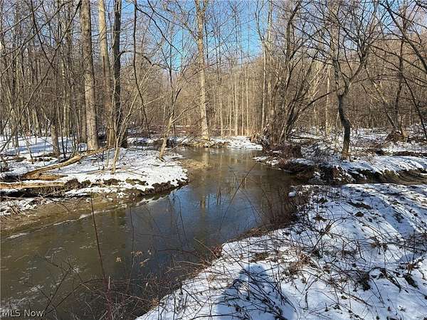 20 Acres of Recreational Land for Sale in Conneaut, Ohio