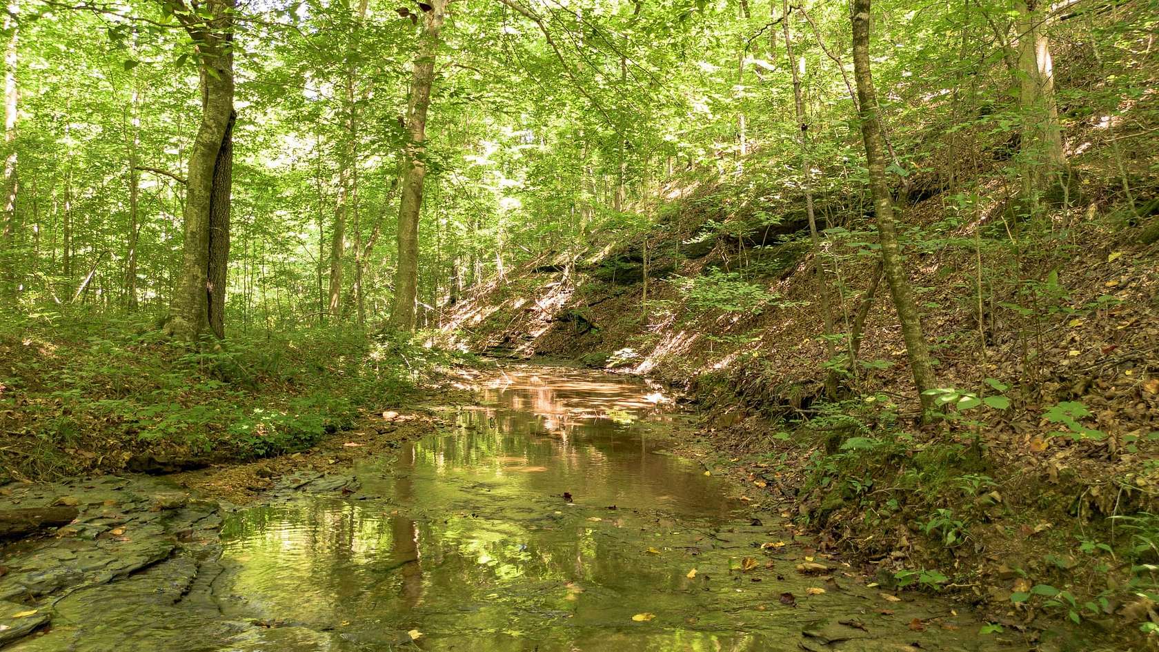 151 Acres of Recreational Land for Sale in Nashville, Tennessee