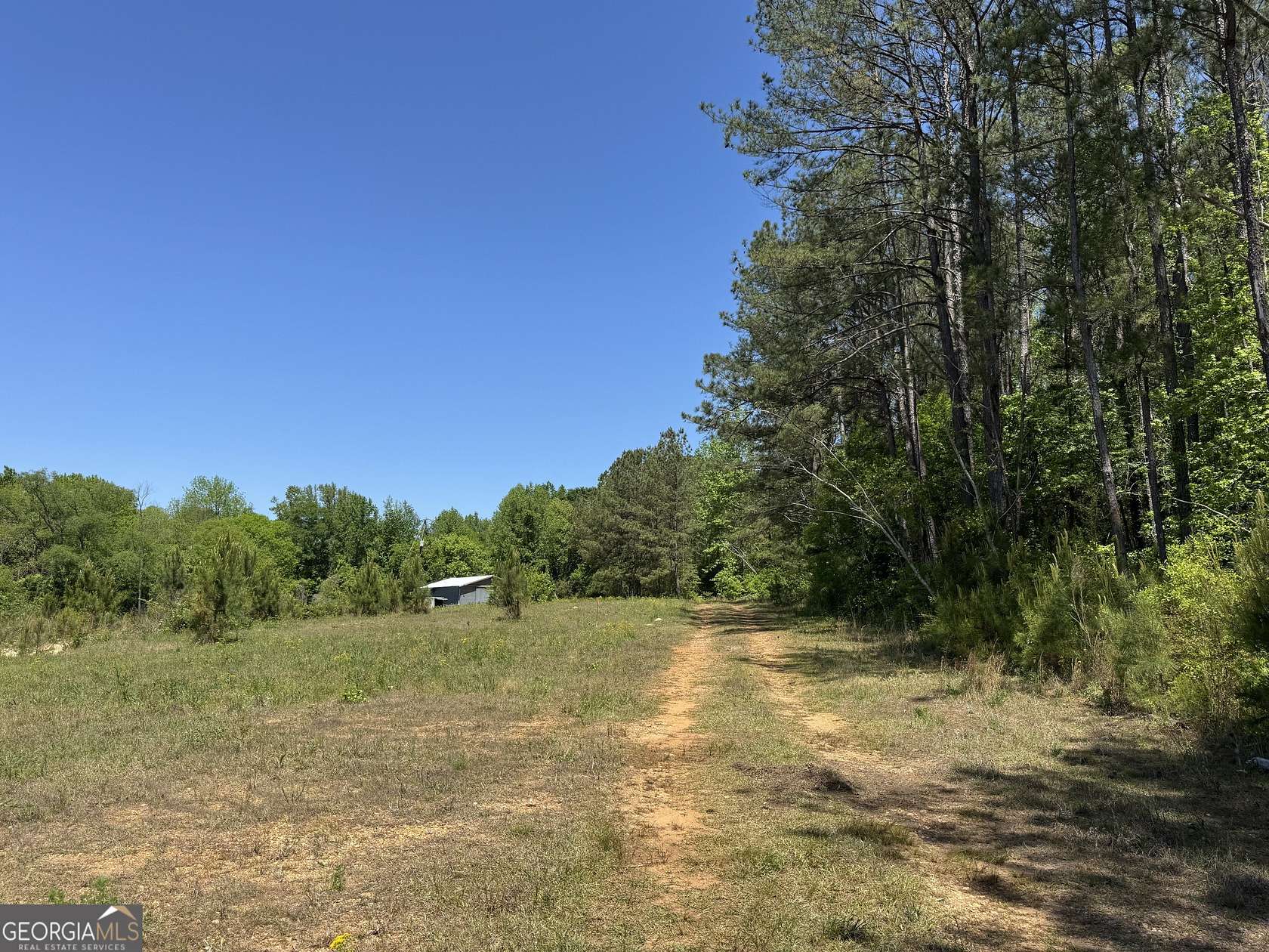 11.8 Acres of Land for Sale in Roanoke, Alabama