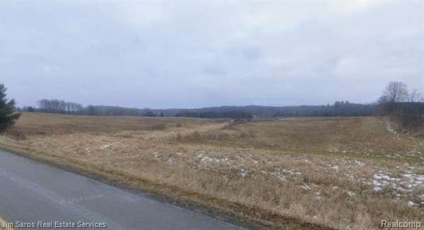 Land for Sale in Curtis Township, Michigan