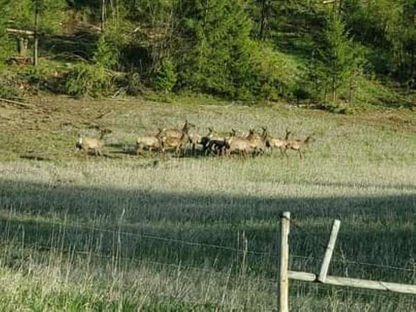20 Acres of Recreational & Residential Land for Sale in Fruitland, Washington