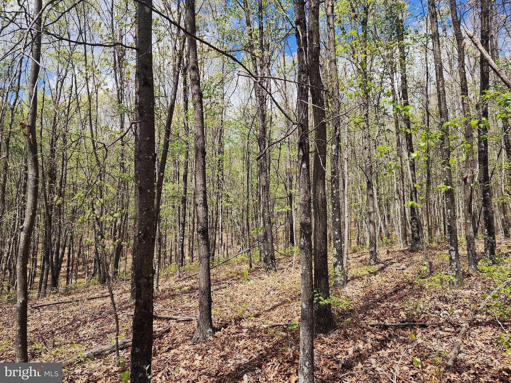 5.5 Acres of Land for Sale in Delray, West Virginia