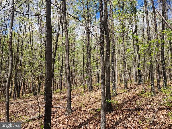 5.5 Acres of Land for Sale in Delray, West Virginia