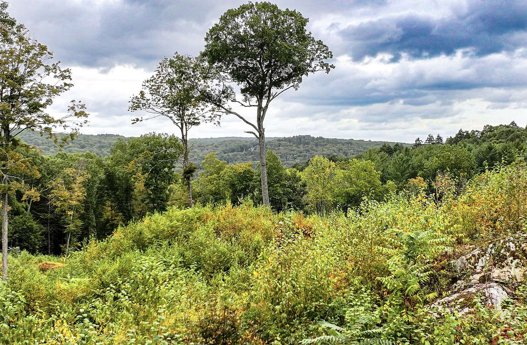 15.5 Acres of Land for Sale in Washington, Connecticut