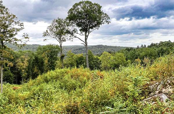 15.5 Acres of Land for Sale in Washington, Connecticut