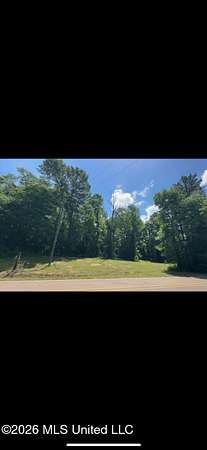 5 Acres of Residential Land for Sale in Pelahatchie, Mississippi