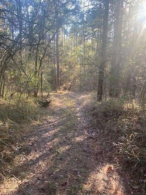 15 Acres of Land for Sale in Rose Hill, Mississippi