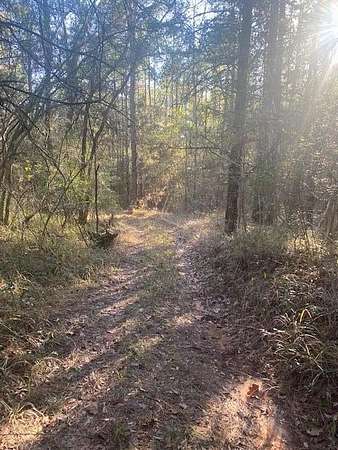15 Acres of Land for Sale in Rose Hill, Mississippi