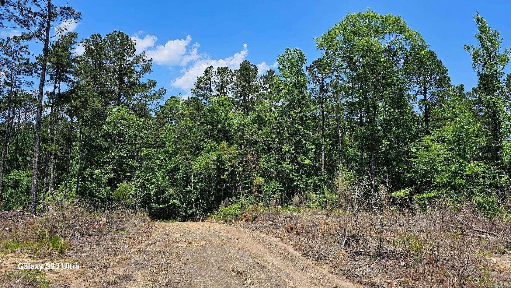 24.8 Acres of Land for Sale in Magnolia, Arkansas