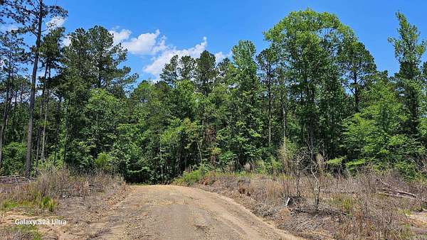 24.8 Acres of Land for Sale in Magnolia, Arkansas