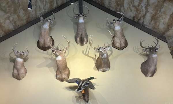 320 Acres of Land for Sale in DeWitt, Arkansas