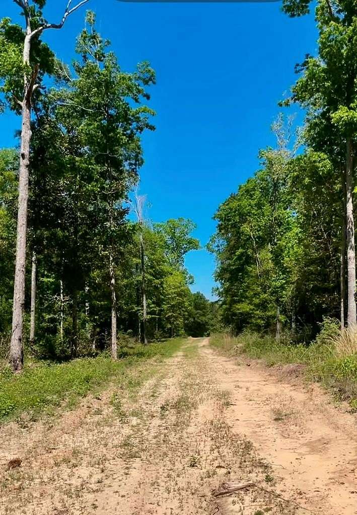 12.3 Acres of Land for Sale in Jasper, Texas