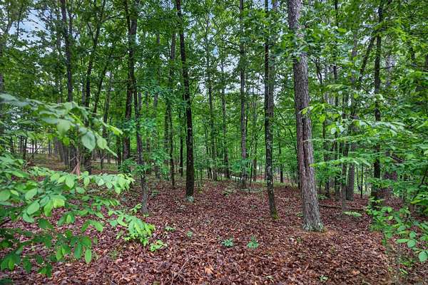 0.33 Acres of Residential Land for Sale in Hot Springs Village, Arkansas