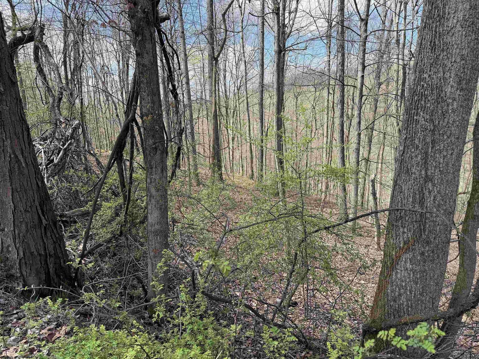 2.35 Acres of Land for Sale in Maidsville, West Virginia