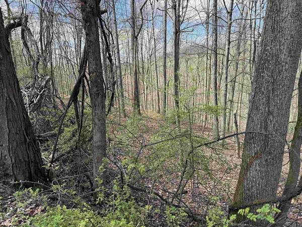 2.35 Acres of Residential Land for Sale in Maidsville, West Virginia