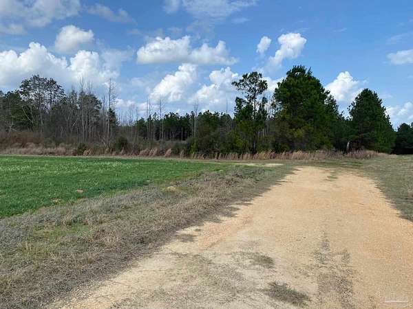 25 Acres of Land for Sale in Jay, Florida