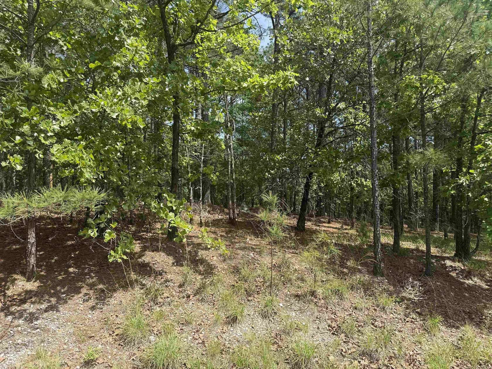 0.45 Acres of Residential Land for Sale in Hot Springs Village, Arkansas