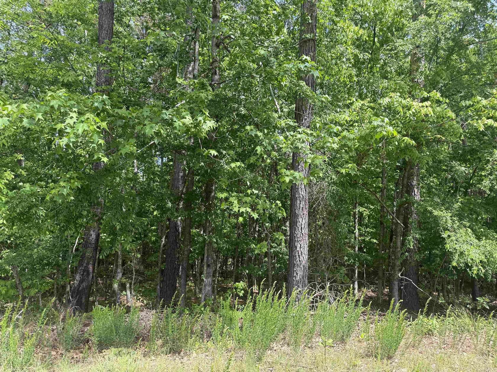 0.35 Acres of Residential Land for Sale in Hot Springs Village, Arkansas