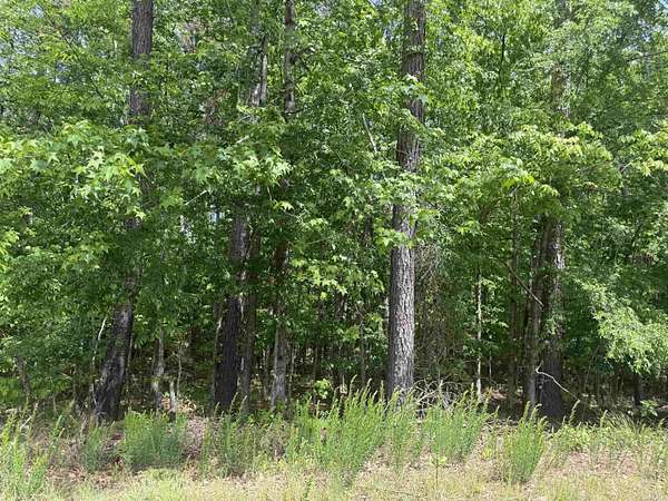 0.35 Acres of Residential Land for Sale in Hot Springs Village, Arkansas