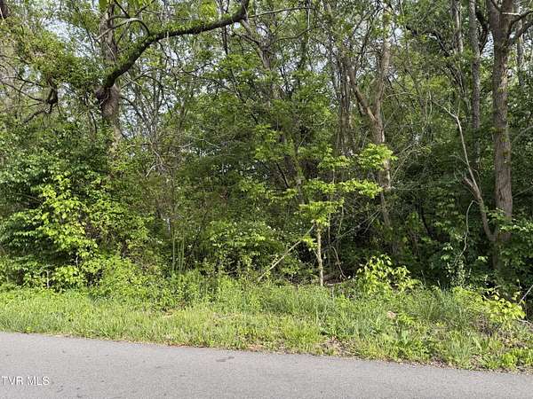 0.14 Acres of Residential Land for Sale in Kingsport, Tennessee