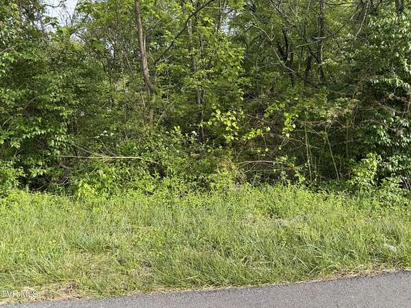 0.17 Acres of Residential Land for Sale in Kingsport, Tennessee