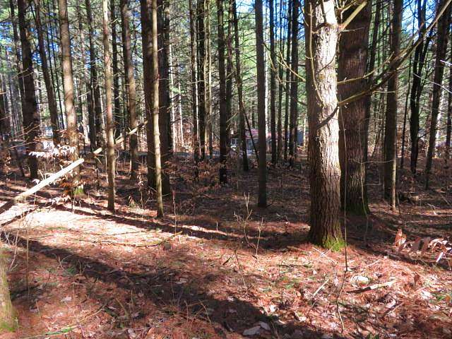 1.7 Acres of Land for Sale in Glenfield, New York