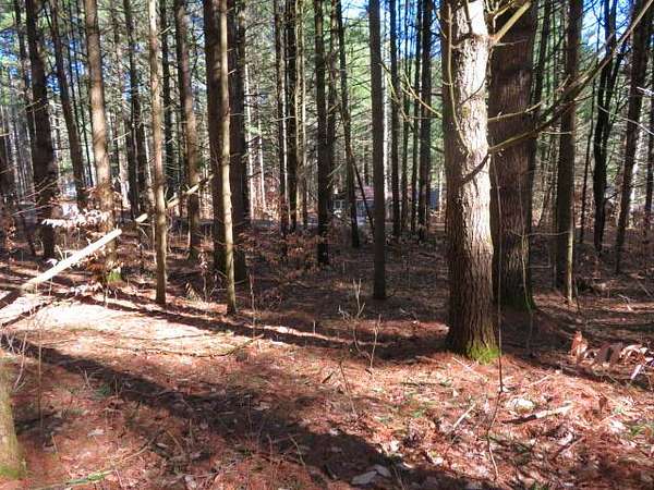 1.7 Acres of Land for Sale in Glenfield, New York