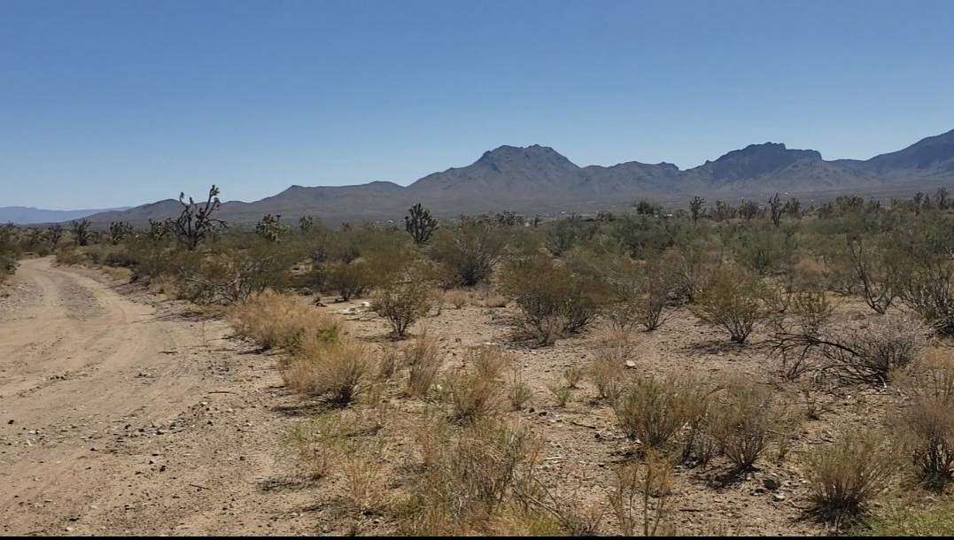 1.7 Acres of Land for Sale in Dolan Springs, Arizona