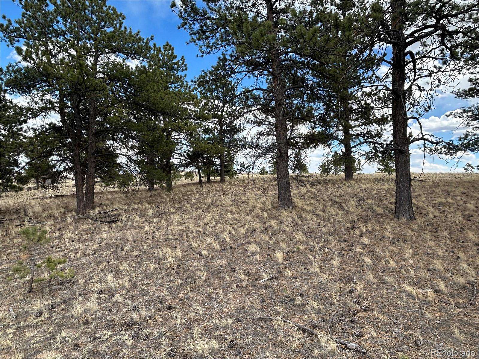 2.5 Acres of Residential Land for Sale in Hartsel, Colorado