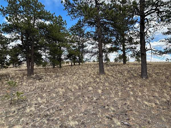 2.5 Acres of Residential Land for Sale in Hartsel, Colorado