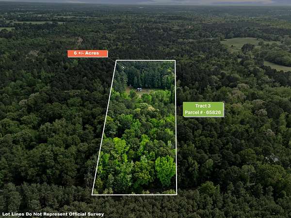 6 Acres of Residential Land for Sale in Gilmer, Texas