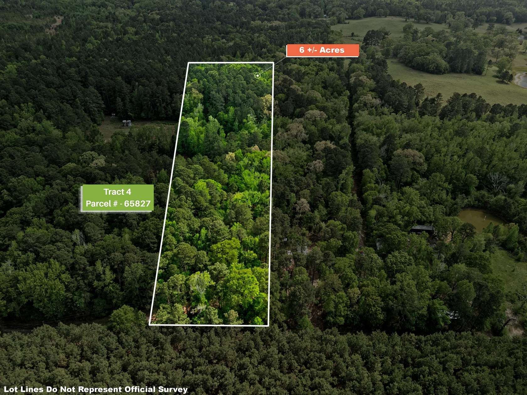 6 Acres of Residential Land for Sale in Gilmer, Texas