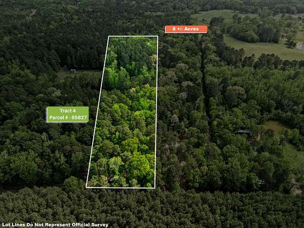 6 Acres of Residential Land for Sale in Gilmer, Texas