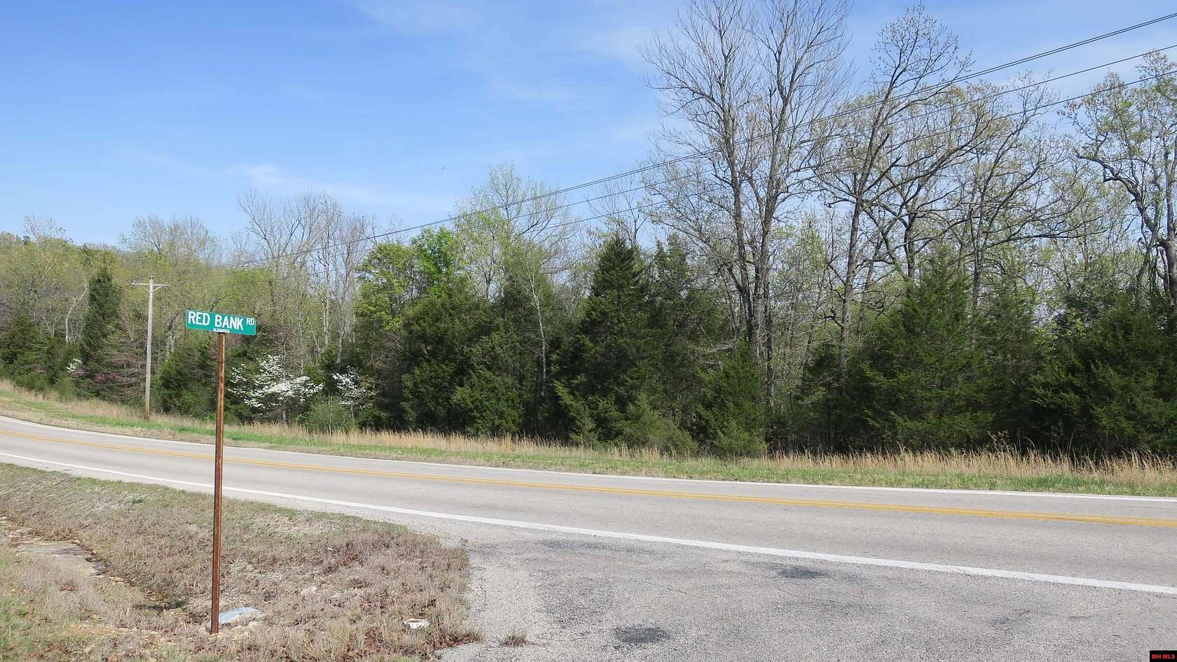 92.9 Acres of Recreational Land for Sale in Gamaliel, Arkansas