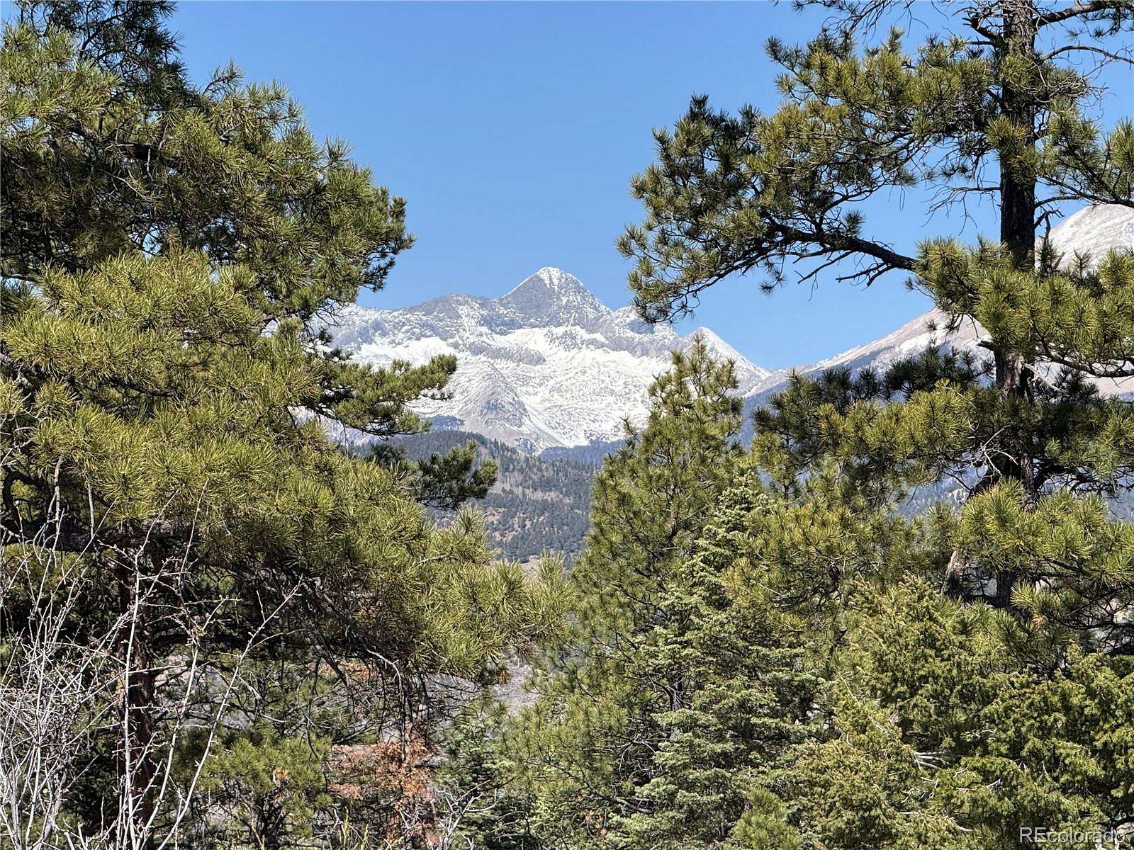 46.9 Acres of Land for Sale in Fort Garland, Colorado