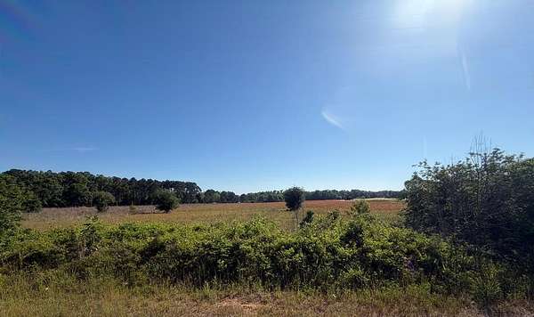 3 Acres of Residential Land for Sale in Slocomb, Alabama